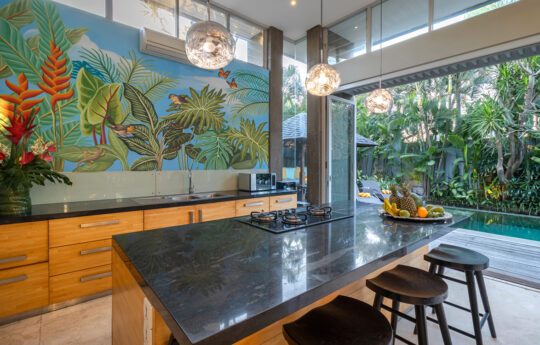 modern kitchen with island bench with views to swimming pool and tropical garden
