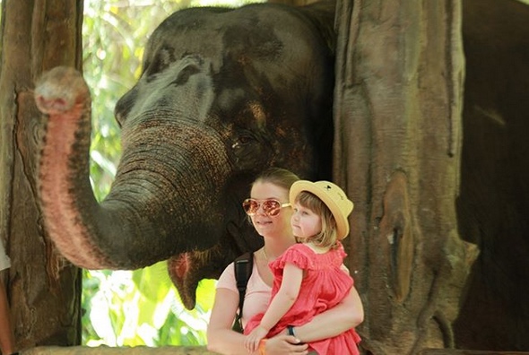 bali safari and marine park what to do with kids in bali