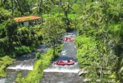 white water rafting ubud - bali villa escapes