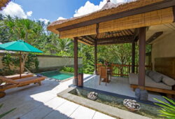 Ubud Bali Villas Villa The Lokha