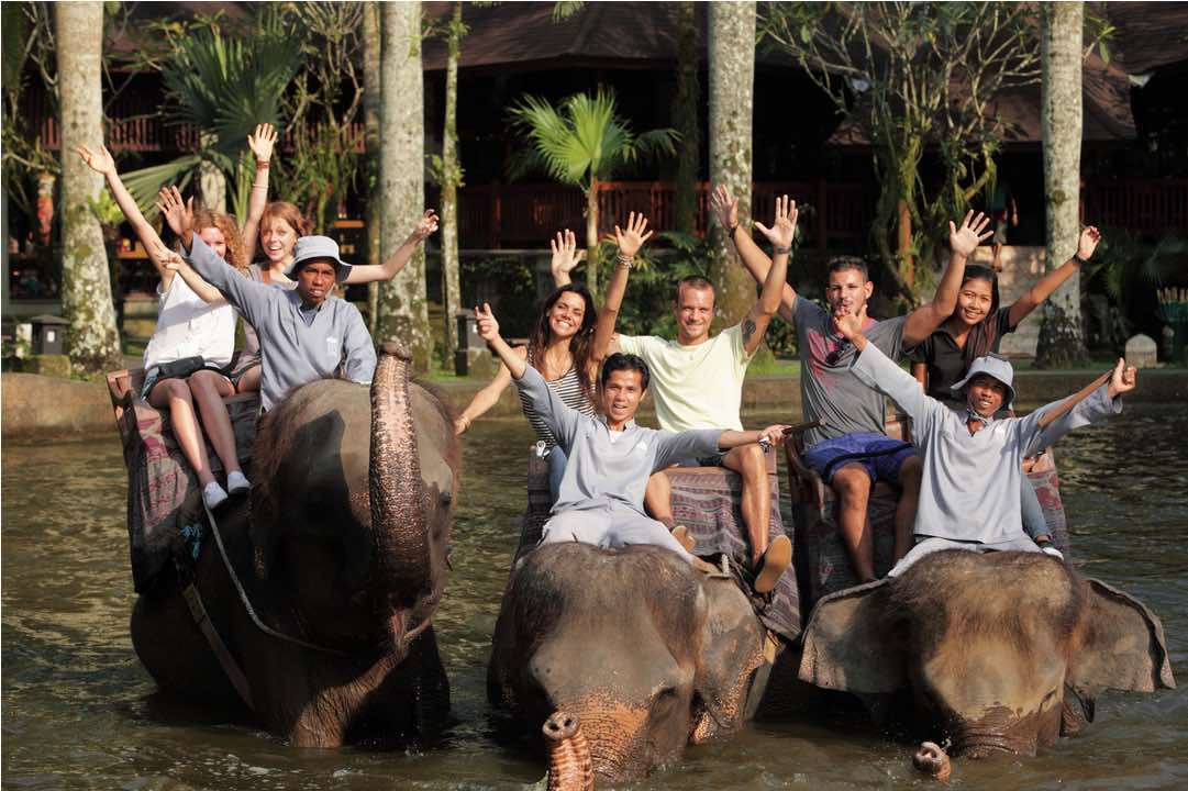 elephant jungle ride in bali - bali tours