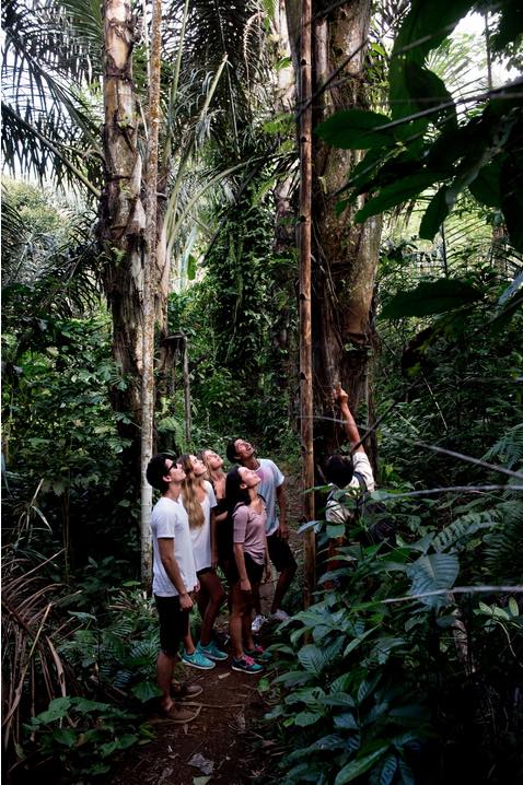 tropical trekking bali tours