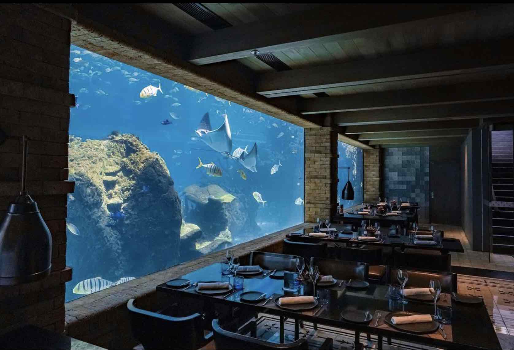 restaurants bali - koral